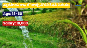 వ్యవసాయ శాఖ ప్రభుత్వ ఉద్యోగాలు - ICAR రిక్రూట్మెంట్ నోటిఫికేషన్ 2025
-prakashcareers.com