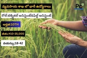 వ్యవసాయ శాఖలో AP ANGRAU Recruitment 2025 - 10వ తరగతితో జాబ్స్
-prakashcareers.com