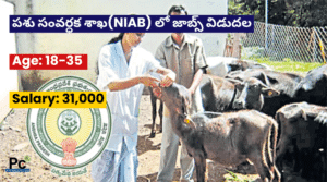 పశుసంవర్ధక శాఖలో ప్రభుత్వ ఉద్యోగాలు - NIAB నోటిఫికేషన్ 2025
-prakashcareers.com