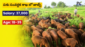 పశుసంవర్ధక శాఖలో ఉద్యోగ అవకాశాలు - NIAB Recruitment 2025
-prakashcareers.com