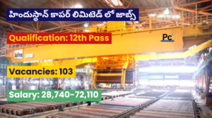 హిందుస్థాన్ కాపర్ లిమిటెడ్ లో జాబ్స్ - HCL Notification 2025
-prakashcareers.com