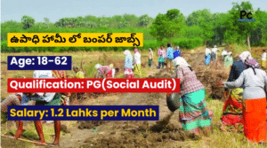 మహాత్మా గాంధీ ఉపాధి హామీ పథకం (MGNREGA) లో 2025 ప్రభుత్వ ఉద్యోగాలు |తాజా ఉద్యోగ సమాచారం- TS NREGA Recruitment 2025 | -prakashcareers.com