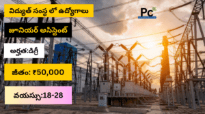 భారత్ ఎలక్ట్రానిక్స్ లిమిటెడ్ (BEL) ఉద్యోగాలు - BEL Recruitment 2025
-prakashcareers.com