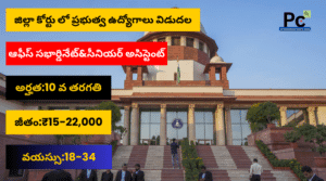 జిల్లా కోర్టులో ప్రభుత్వ ఉద్యోగాలు - TS Court Recruitment-2025
-prakashcareers.com