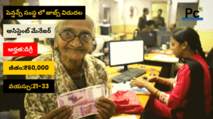 పెన్షన్ విభాగంలో ప్రభుత్వ ఉద్యోగాలు - NPS Recruitment 2025
-prakashcareers.com