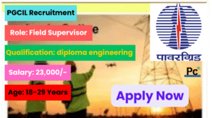 PGCIL Vacancy Notification 2025 - Great Chance to Join Power Grid Corporation!
-prakashcareers.com