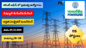 PGCIL Notification 2025 - Great Chance to Join Power Grid Corporation! -prakashcareers.com